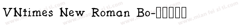 VNtimes New Roman Bo字体转换